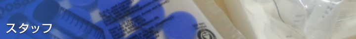 �X�^�b�t
